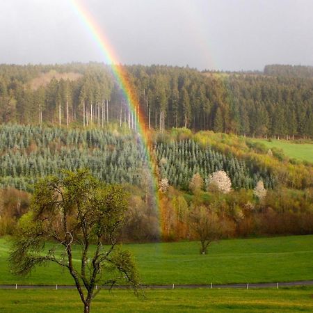 דירות Kopp Eifel Rebeige Gerolstein מראה חיצוני תמונה