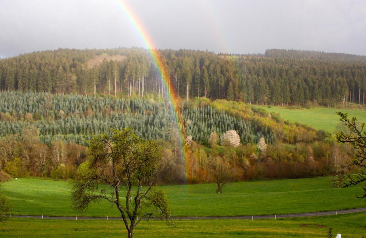 דירות Kopp Eifel Rebeige Gerolstein מראה חיצוני תמונה